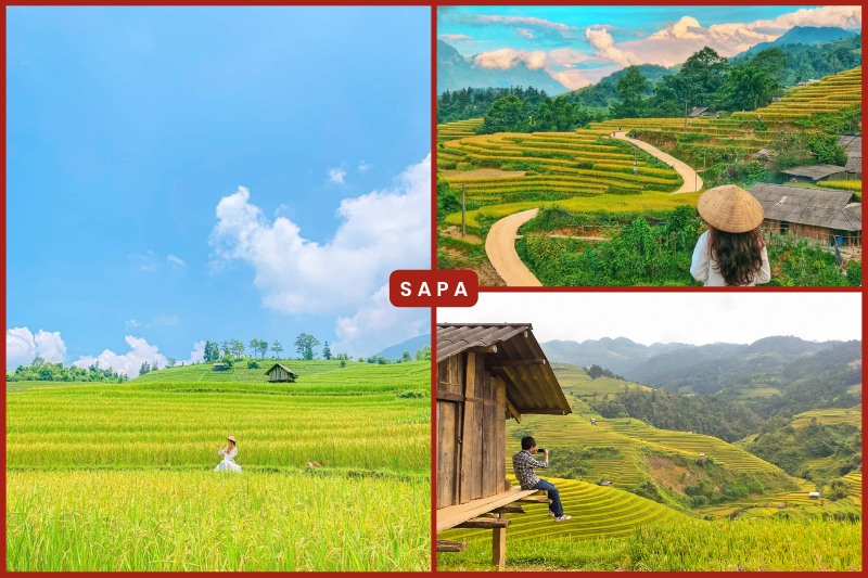 Sapa Terraced fields Vietnam